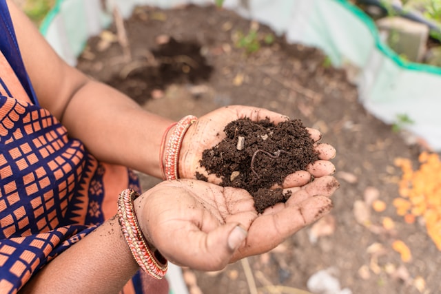 Shimla leads in the use of chemical fertilisers